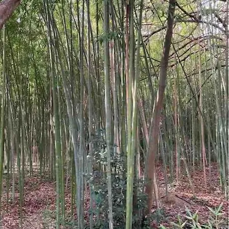 Petit Coin De Paradis A Deux Pas De La Jardin 拉西约塔