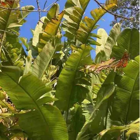 Апартаменты Petit Coin De Paradis A Deux Pas De La Jardin