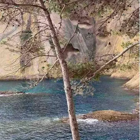 Апартаменты Petit Coin De Paradis A Deux Pas De La Jardin