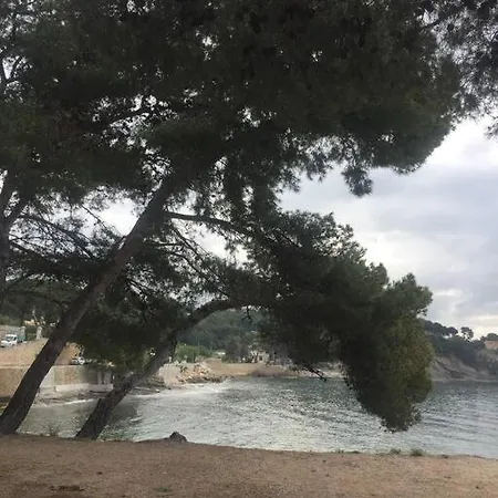 Petit Coin De Paradis A Deux Pas De La Jardin Apartment
