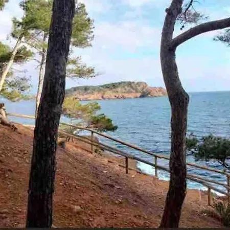 Petit Coin De Paradis A Deux Pas De La Jardin Apartment La Ciotat