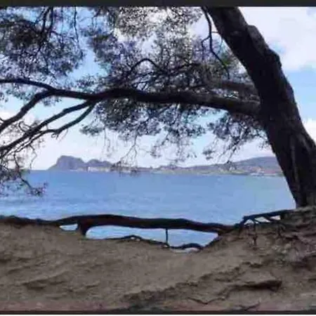 Апартаменты Petit Coin De Paradis A Deux Pas De La Jardin Ла-Сьота